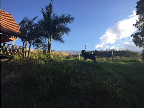Lote Pantanillo, Envigado