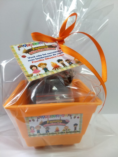 Kit Plantio Ecológico 20 Lembrancinhas Festa Junina Arraiá | Frete grátis Kit Plantio Ecológico 20 Lembrancinhas Festa Junina Arraiá | Frete grátis