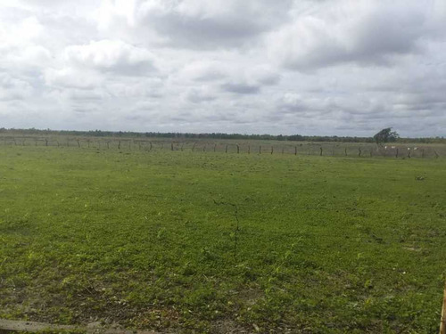 Finca Para Ganaderia Y Agricultura En Zuata. Anzoategui