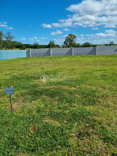Imagem 4 de 9 de Terreno Em Condominio - Sanga Funda - Ref: 368304 - V-368304