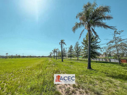 Venta - Terreno - Lomas De Alicia - Granadero Baigorria