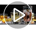 Juego De Vasos De Whisky Para Beber Cuadrados De 4, Conjunto