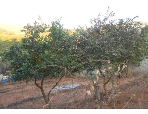Lote Para Comprar No Bosque De Ibirité Em Ibirité/mg - 3107