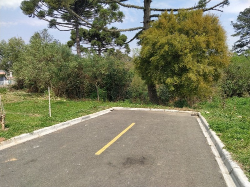 Imagem 2 de 6 de Terreno - Pilarzinho - 448