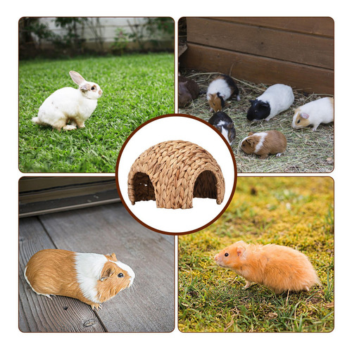 Casa Del Conejo Safe Bunny Grass House Escondite Natural De