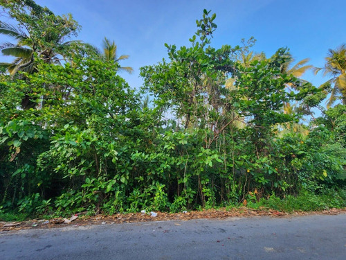 Vendo Terreno Con Mejora Incluida En Uvero Alto Bávaro Punta Cana, República Dominicana