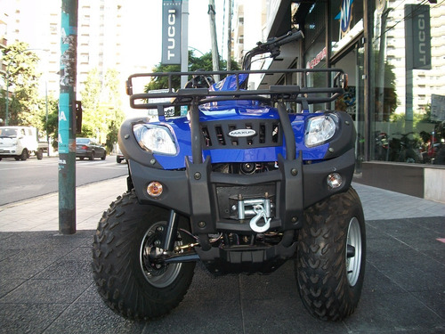 Imagen 18 de 20 de Cuatriciclo Zanella G Force 250 No!!! Maxus Adventure 250 Si