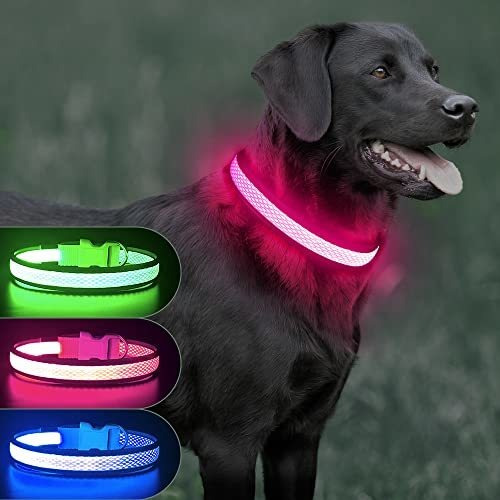 Collar De Perro Iluminado Ezierfy - Collar De Perros 26v92
