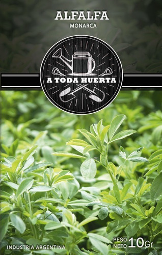Combo Huerta Sobres De Semillas Para Plantar Todo El Año