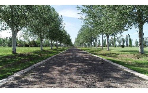 Imagen 9 de 13 de Barrio Privado Pinares Del Sur. Lotes En Usd 47000 Usd, 1000mts. Piñero/alvear.