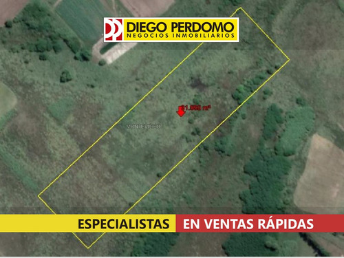 Chacra De 31.950 M² En Venta, Montevideo