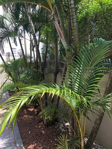 Imagem 3 de 12 de Apartamento Para Venda, 2 Dormitórios, Jardim Celeste - São Paulo - 12288
