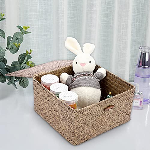 Canasta De Mimbre Grande Con Tapa, Multiusos Hogar