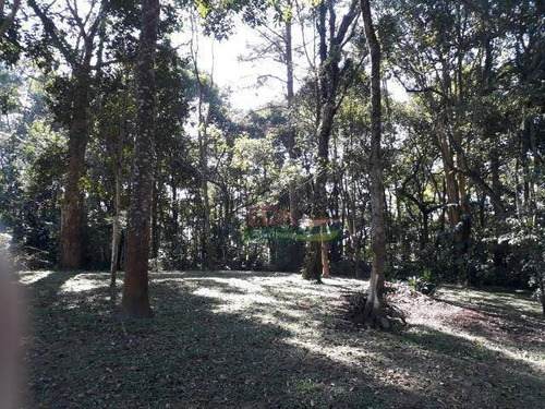 Imagem 2 de 14 de Chácara Com 2 Dormitórios À Venda, 10000 M² Por R$ 400.000 - Sítio Itaproa (ouro Fino Paulista - Ribeirão Pires/sp - Ch0542