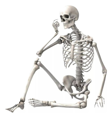 Esqueleto De Halloween De 40 Cm, Articulaciones Flexibles [u