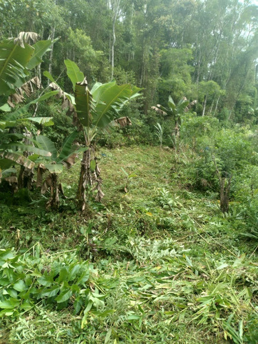 Imagem 3 de 14 de Terreno Em Miracatu C/ 30 Mil M