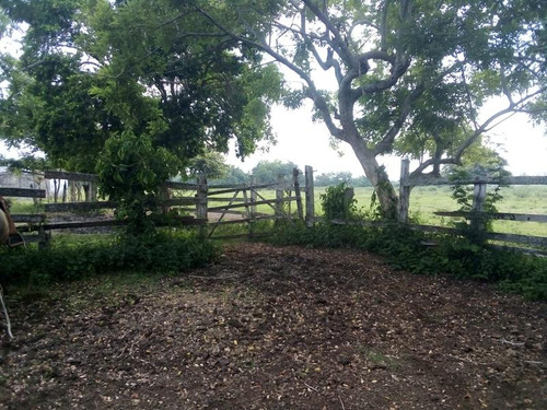 Venta Rancho Ganadero 100 Hectáreas Tamiahua Veracruz