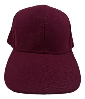 comprar Lote 24 Gorras Personalizadas Bordada Visera Curva Ajustable