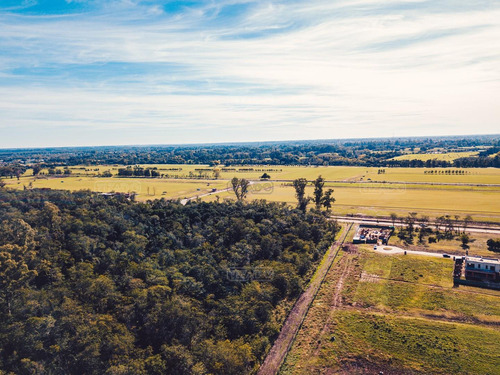 ESTANCIA CARABASSA