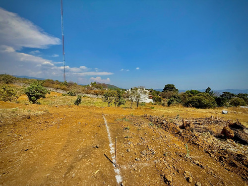 Terreno Rustico En Ocotepec
