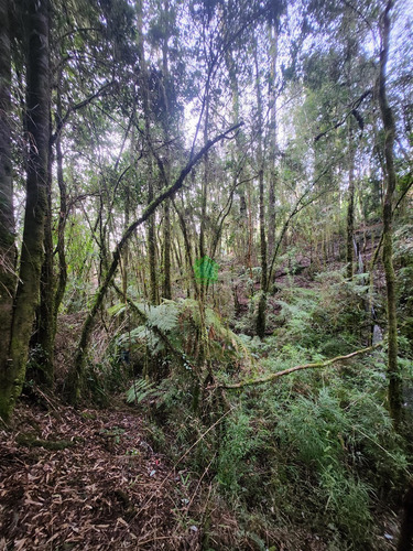 Casa De 2 Dorm. En Parcela En Venta En Valdivia