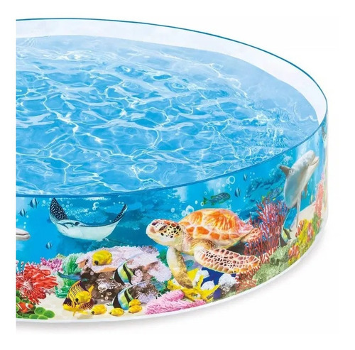Piscina Rígida Intex 244 X 46cm Fácil De Armar