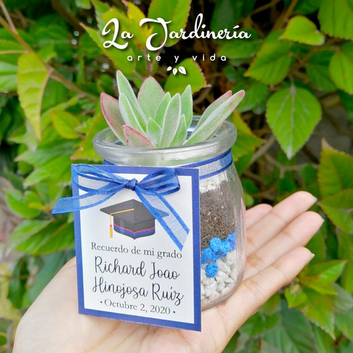 Imagen 5 de 10 de Recuerdos Souvenirs Plantas Vivas Terrarios