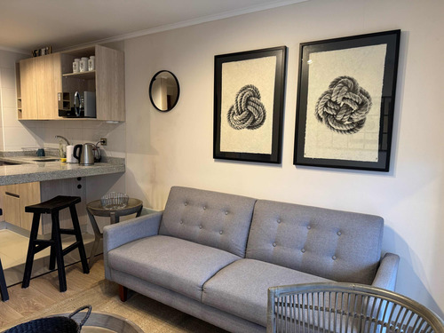 Hermoso Departamento De Un Dormitorio En Villarrica