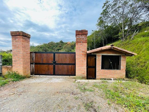 Lotes En Venta En Yolombo, Antioquia