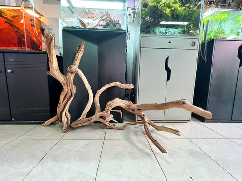 Troncos Raíces Manzanita Muy Grandes Acuarios Estanques