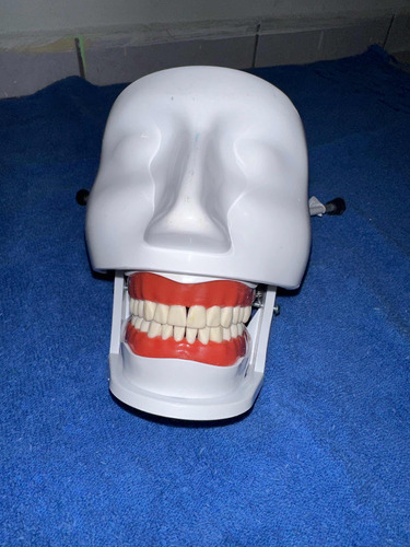 Carodonto Dentado, Simulador Dental