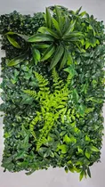 Comprar Muros Verticales Frondosos
