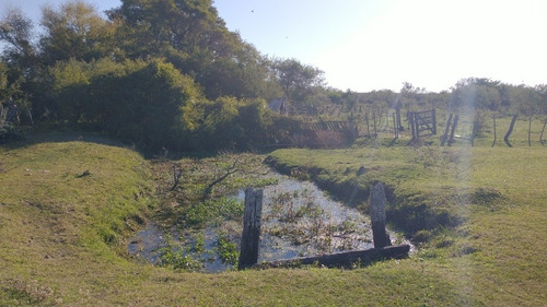 Imagen 5 de 13 de Vendo Urgente Campo 60 Hectáreas En Libertador Corrientes