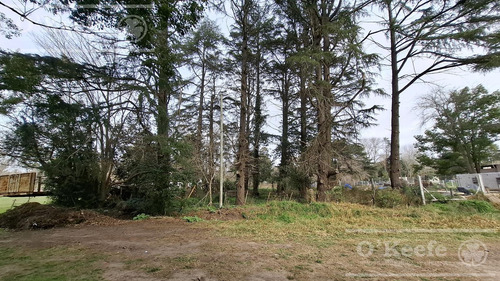 Lote En Venta En Barrio Cerrado Estancia San Juan Pereyra Iraola Hudson Berazategui