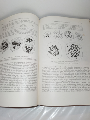 Tratado De Zoologia(pierantoni) Y Curso De Botanica Gral Apl (Usado)