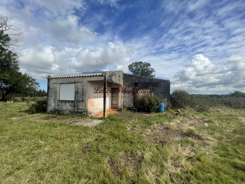 Imagen 2 de 10 de Venta Chacra 7 Has Sobre Ruta 9, A 18 Kms De Punta Del Este