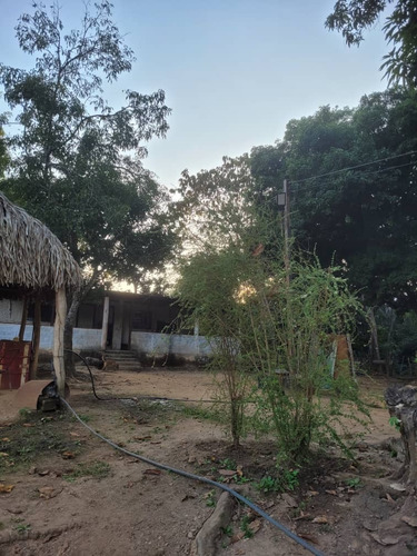 Global Vende Finca De 28 Hectáreas En Urb. Tocuyito Sector La Yaguara (vía Campo Carabobo)