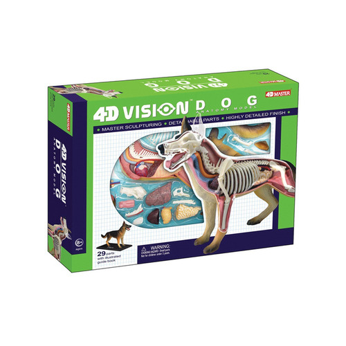 Modelo Anatómico De Perro, Visión 4d, Tedco Toys 26115