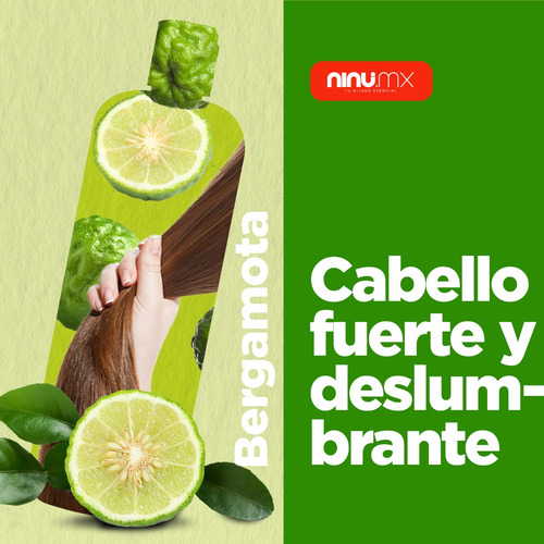 Shampoo Aceite De Bergamota Ninu Libre De Sulfatos 1 Litro