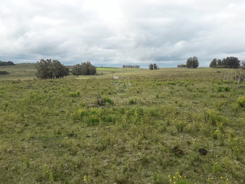 Campo 21 Has En Paraje José Ignacio