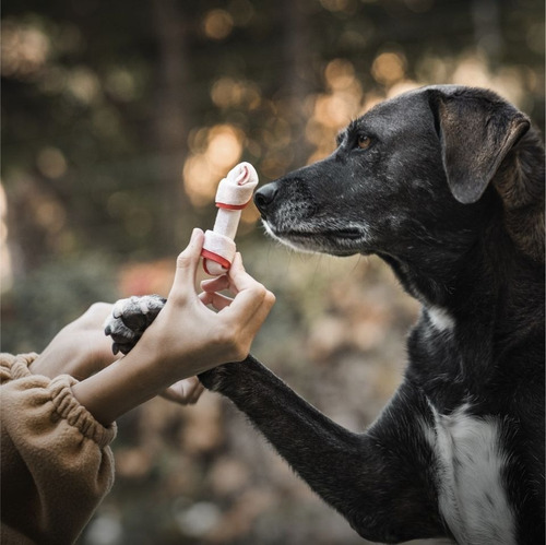 Imagen 5 de 6 de Premio Para Perro Doy Pack Bicolor X10u. Cancat Pet