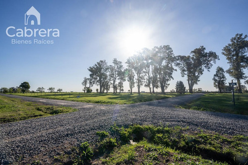 Imagen 3 de 6 de Venta De Lote, La Plata