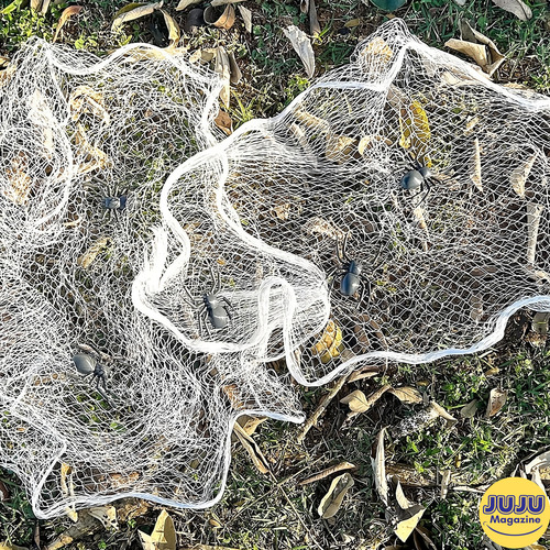Super Teia Com 2m E 6 Aranhas Decoração Para Festa Halloween