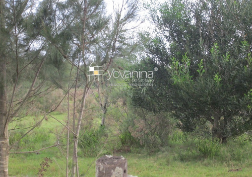 Campo En Venta En Cuchilla Alta Canelones De 21 Hectáreas Ref. Y 150