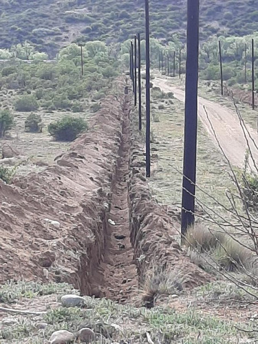 Imagen 13 de 17 de Terreno - Alumine