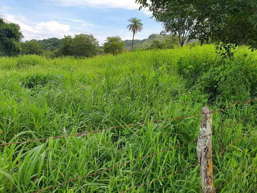 Imagem 24 de 26 de Fercal, Sobradinho Chácara Com Mais De 92 Hectares, Sendo 1.000m² De Área Útil, São 3 Quartos, Curral, Açude E Muito Mais! Estuda Permuta. - Villa129695