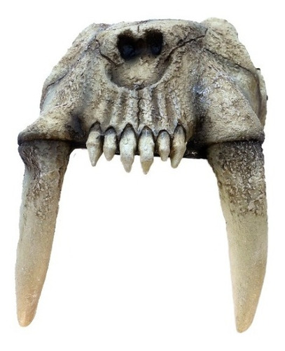 Máscara De Tigre Dientes De Sable Cráneo Animales Gorro