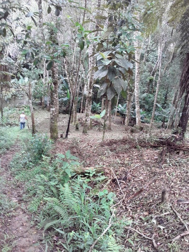Imagem 6 de 17 de Chácara À Venda Em Juquitiba - 414 - 34854187