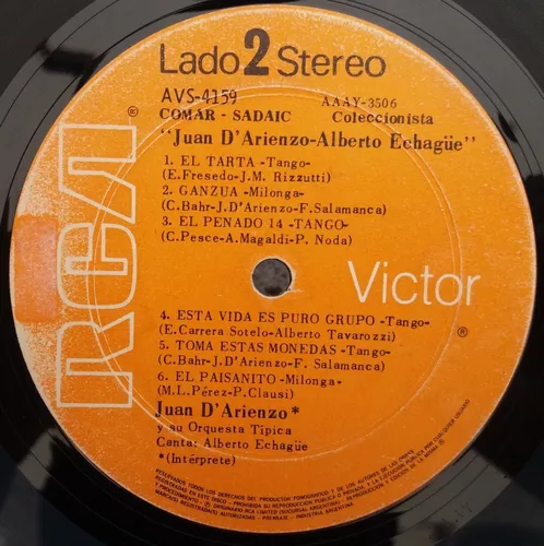Un Disco LP De Vinilo Típica Con Un Labell En Blanco Sobre Un