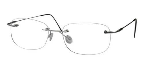Imagen 1 de 10 de Anteojos Armazones Fl Metalicos Montados Al Aire Con Flex
